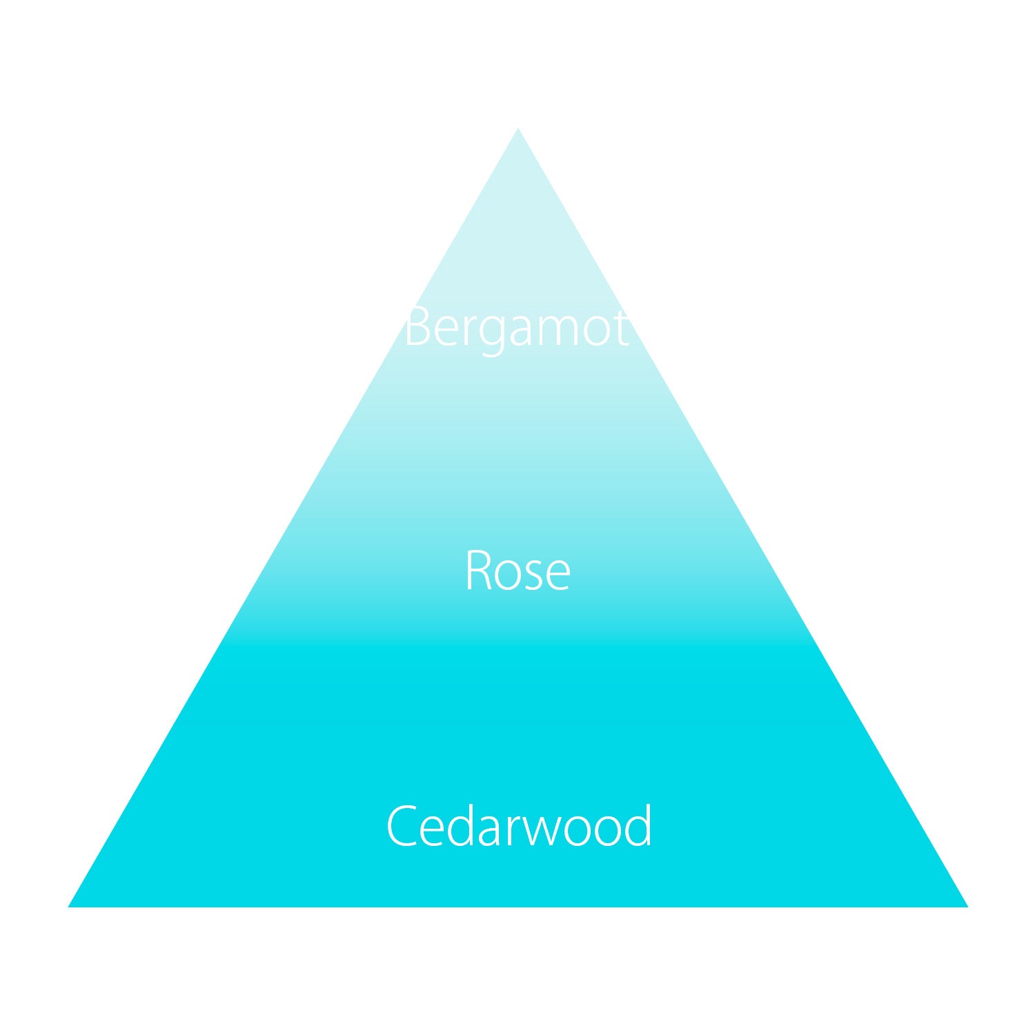 【11月10日12時発売】サヴォンアンドカンパニー ハンドクリーム50g・ぬいぐるみキーホルダー付 サヴォンドゥバス