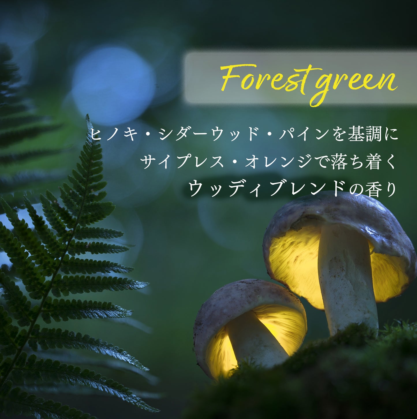 クリーンオリジナル おやすみフレグランス フォレストグリーン 50mL