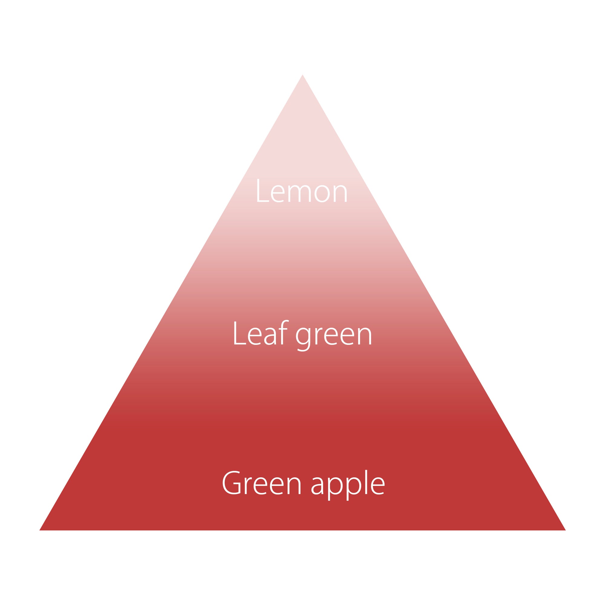 クシェルヨット フレグランスリッチ ハンドクリーム オリジナルハンカチギフト ブルーメ エーヴィヒカイト