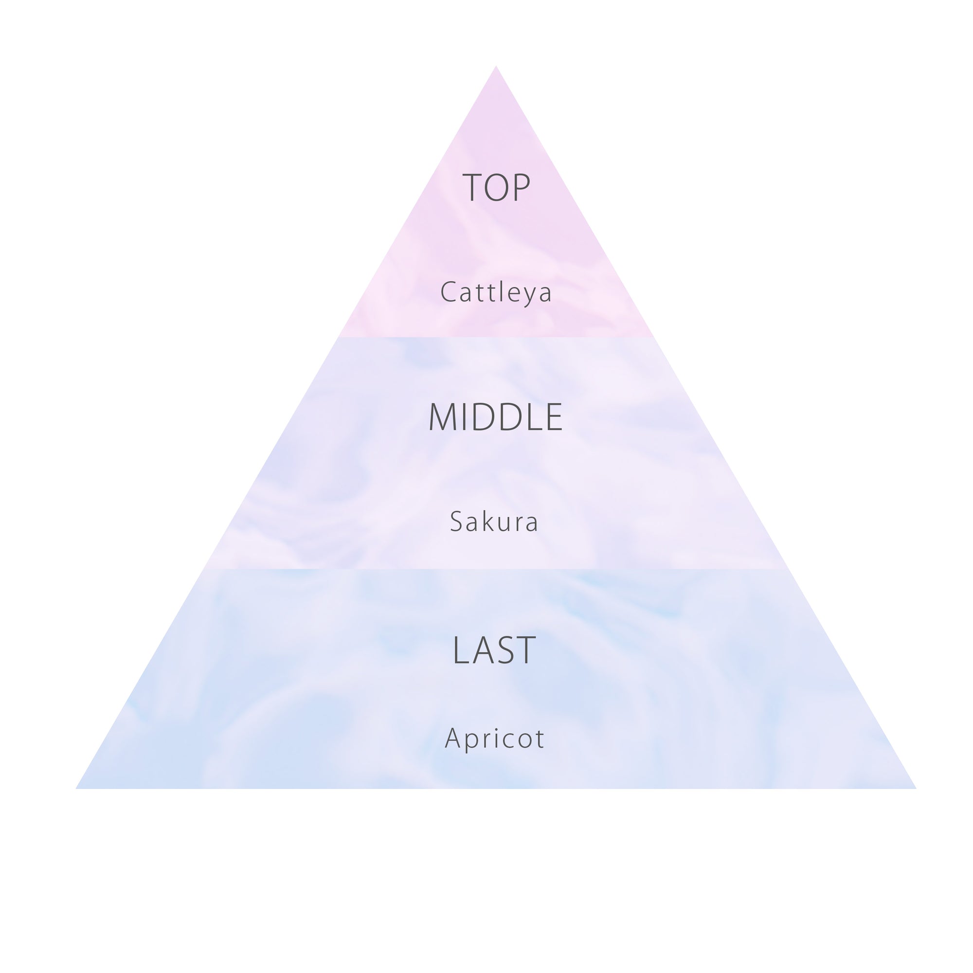 【12月22日12時発売】ロウレンス シャイニングスルーヘアオイル マベルフルール スリジエ(スムースタイプ) 60mL