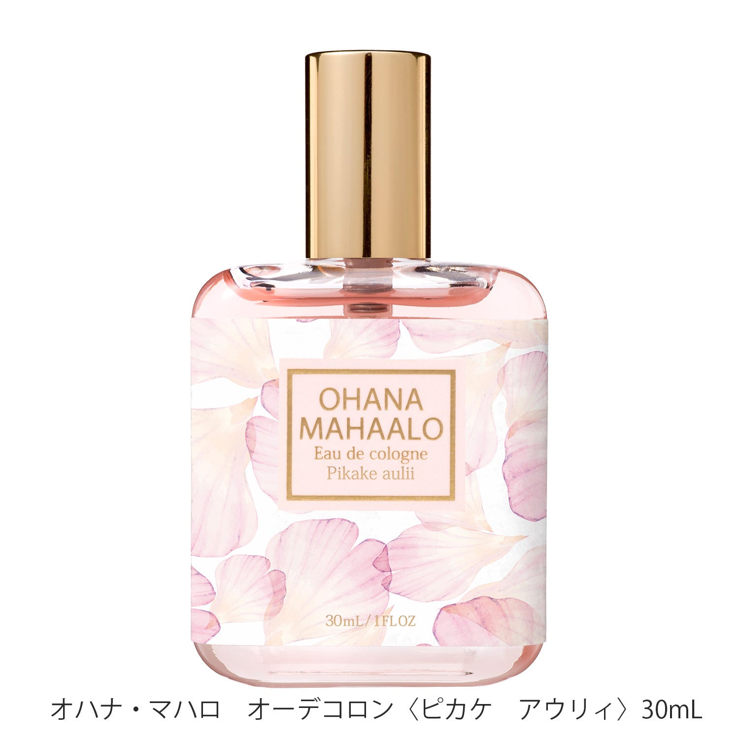 【11月10日12時発売】オハナ・マハロ10周年企画 アドベントカレンダー