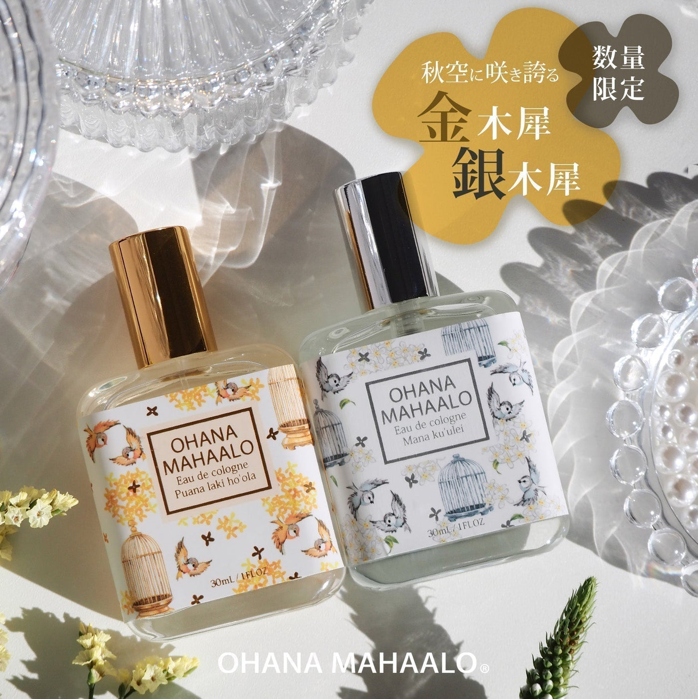 OHANA MAHAALO Fragrance Treatment まとめ売り OHANA MAHAALO Fragrance Treatment まとめ売り OHANA MAHAALO