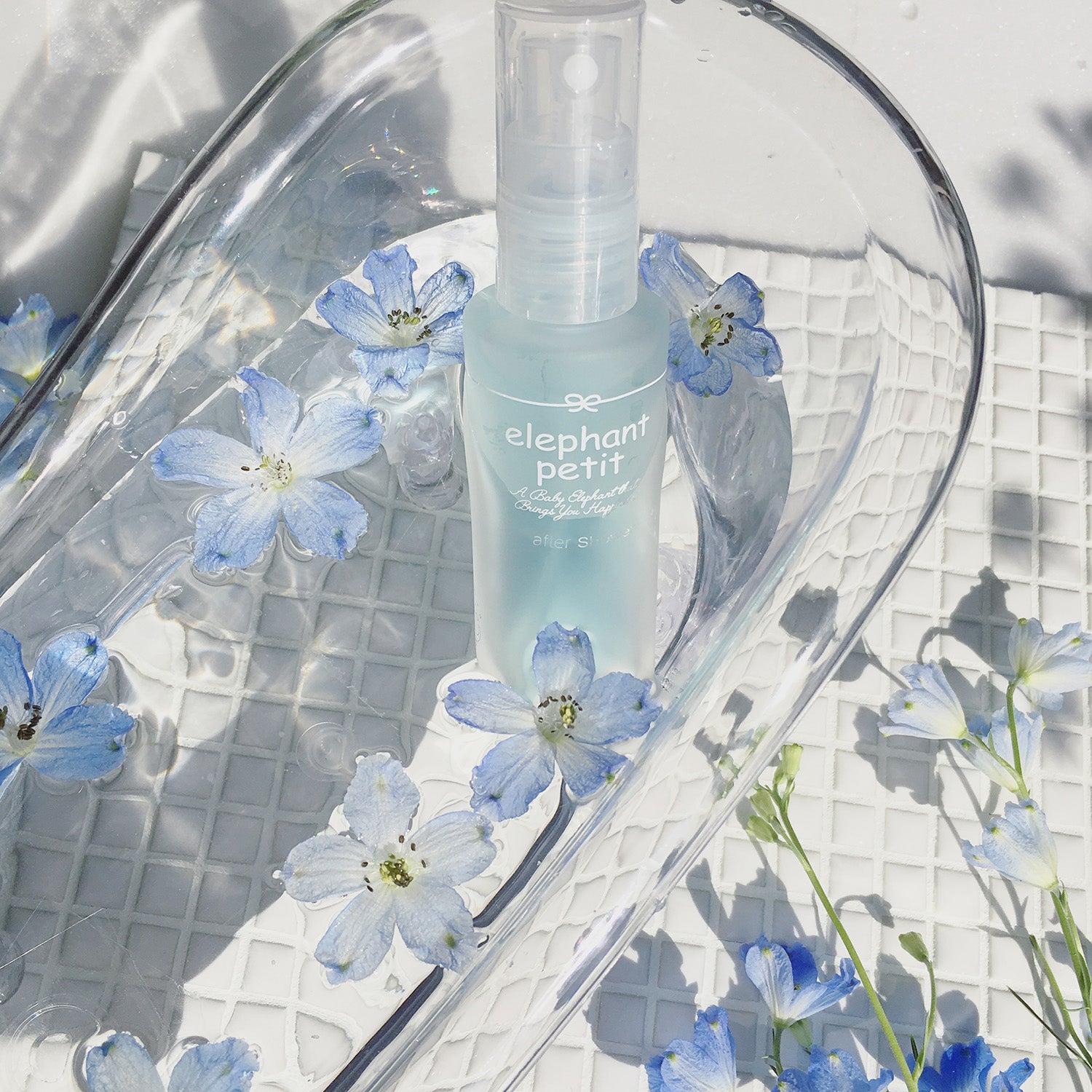 エレファントプチ オーデコロン〈アフターシャワー〉50mL – Fragrancy