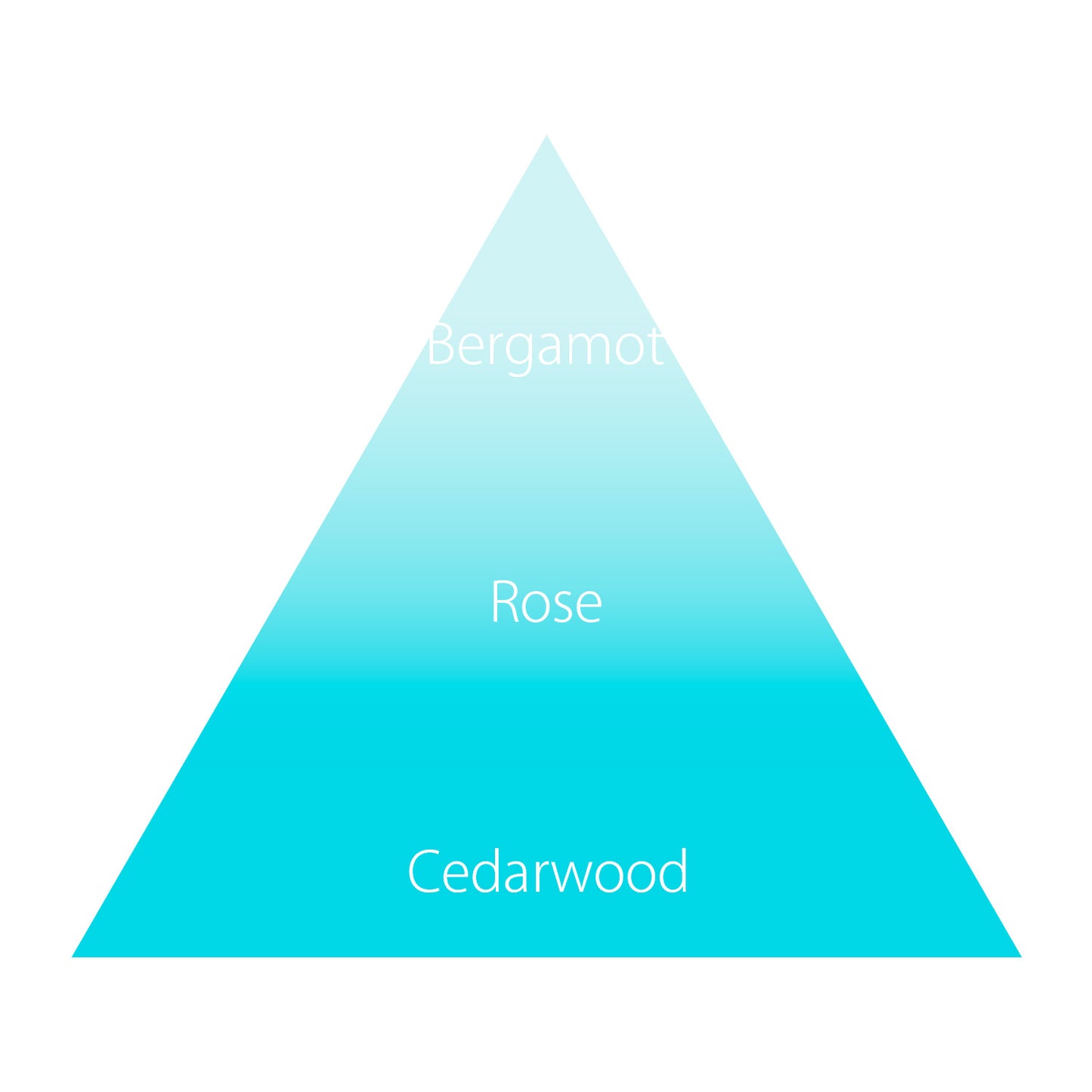 サヴォンアンドカンパニー リフレッシングドライシャワー サヴォンドゥバス ［ドライシャンプー］　100g