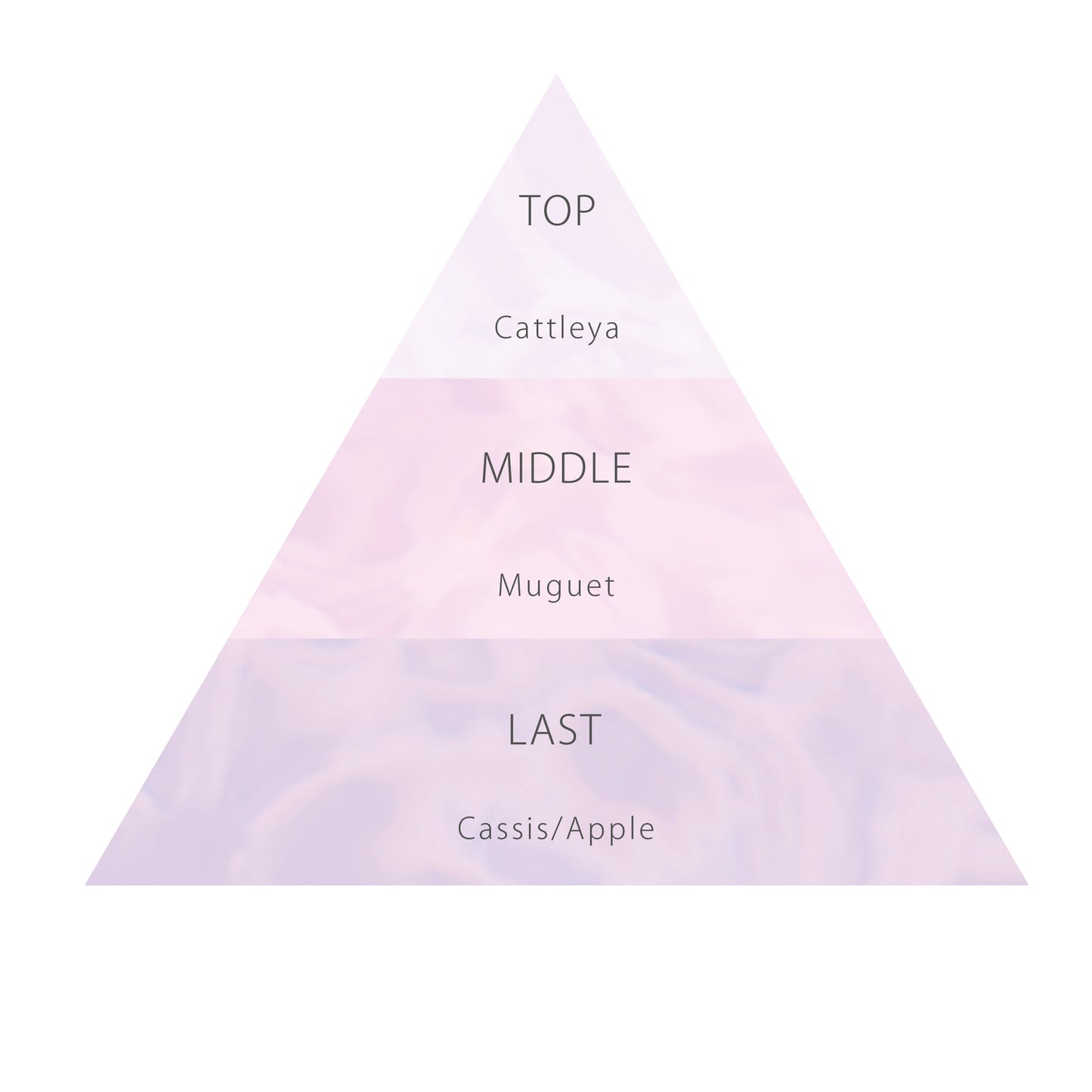 【11月10日12時発売】ロウレンス　ナイト　モイスチャライザー＆オリジナルルームソックス　マベルフルール　ナイトモイスチャライザー45g / ルームソックス1組