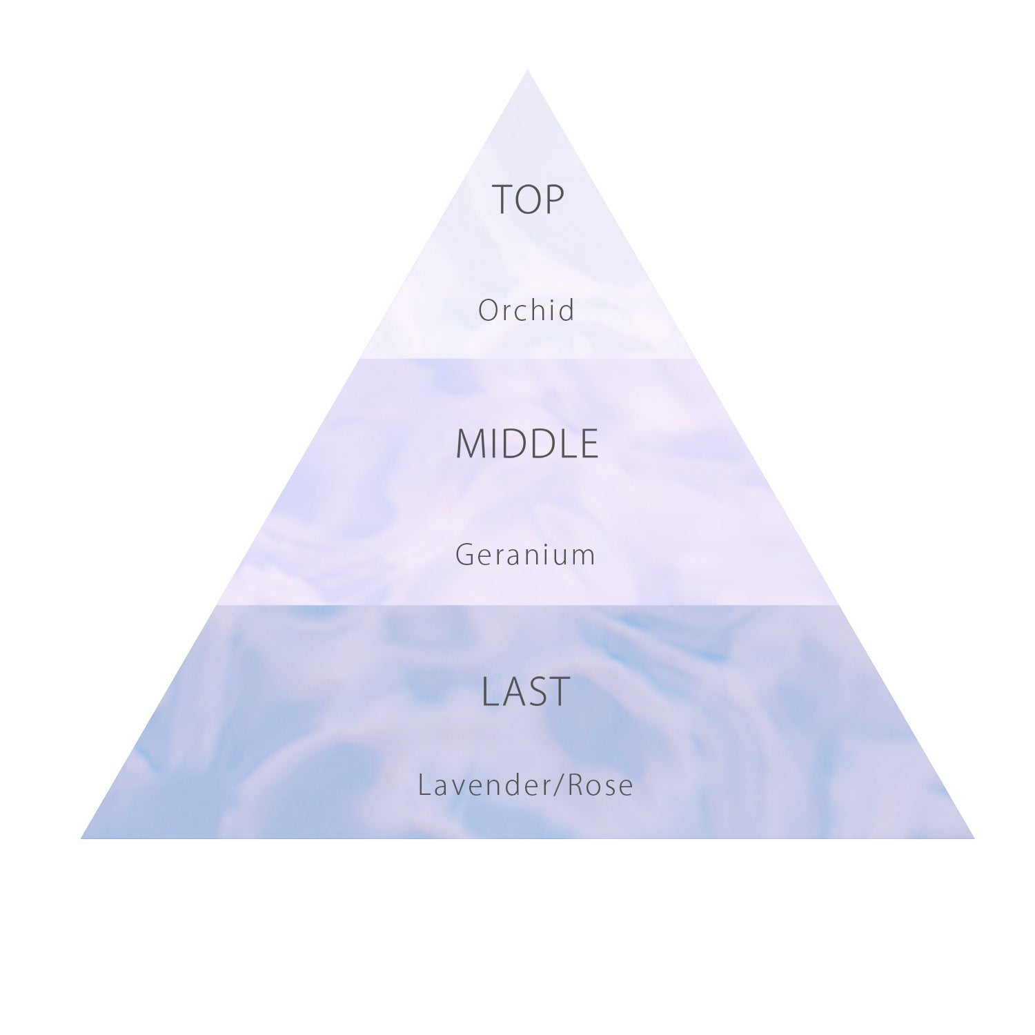 【2月9日12時発売】ロウレンス　シャイニングスルーハンドクリーム　オリジナルハンカチギフト　リアンマシェリ(ハンドクリーム50g / オリジナルハンカチ1枚)